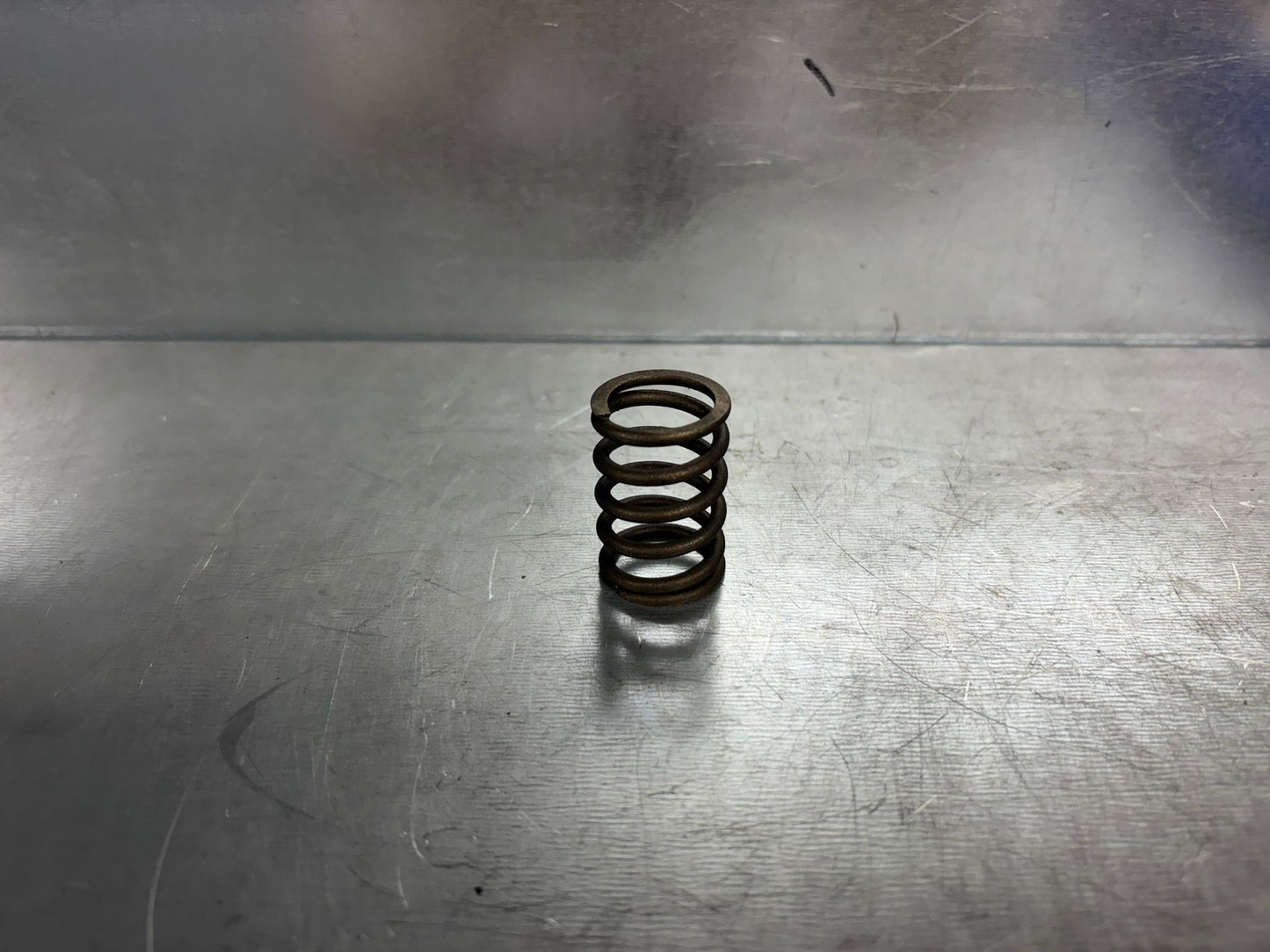 VALVE SPRING